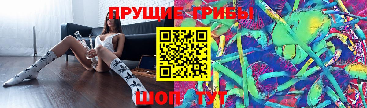 Псилоцибиновые грибы GOLDEN TEACHER  Вход с VPN  Набережные Челны 