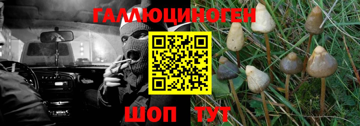 Псилоцибиновые грибы Magic Shrooms Набережные Челны